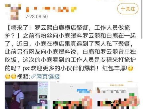 营销号爆料白鹿视频,剧情反转引期待! 第1张 营销号爆料白鹿视频,剧情反转引期待! 第1张